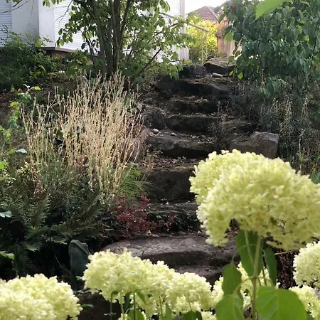 Ferienimspessart Eg Apartmán Bad Soden-Salmünster