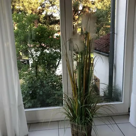 Διαμέρισμα Ferienimspessart Eg *