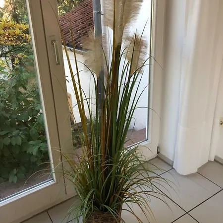Ferienimspessart Eg Apartment *