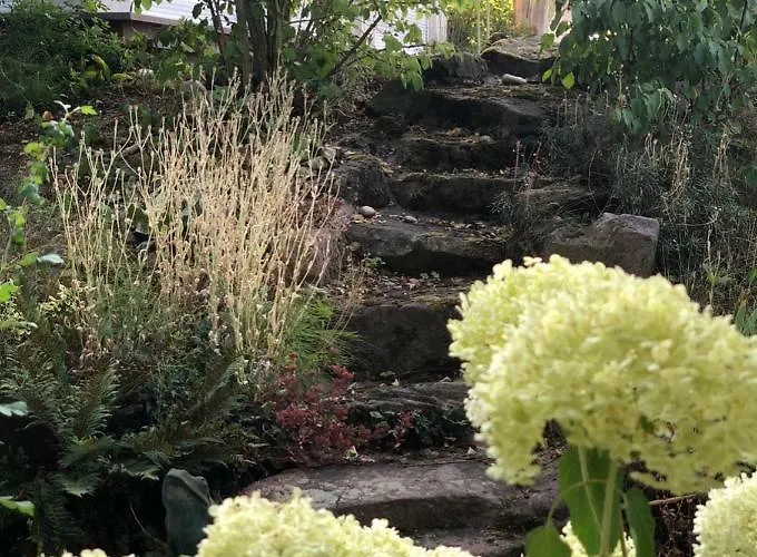 Ferienimspessart Eg 公寓 巴德索登萨蒙特